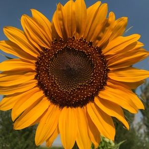 Meet your Posher, Gretchen